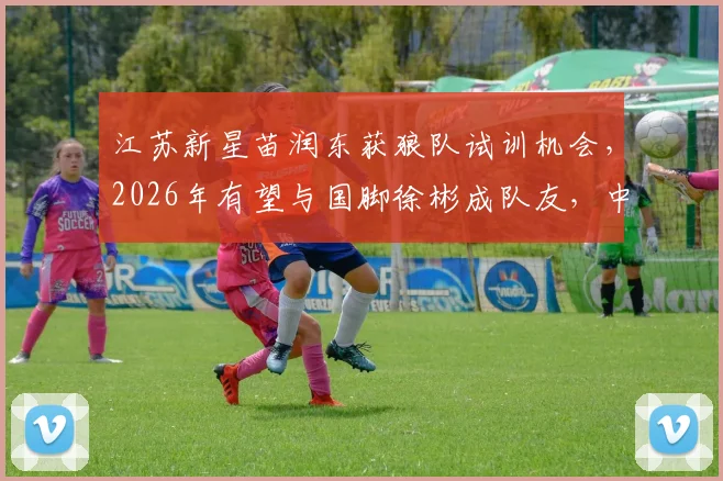 江苏新星苗润东获狼队试训机会，2026年有望与国脚徐彬成队友，中国足球青训路在何方？